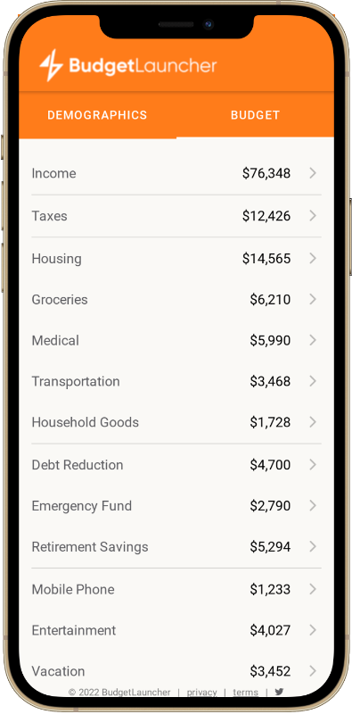 Budget Launcher app on mobile device